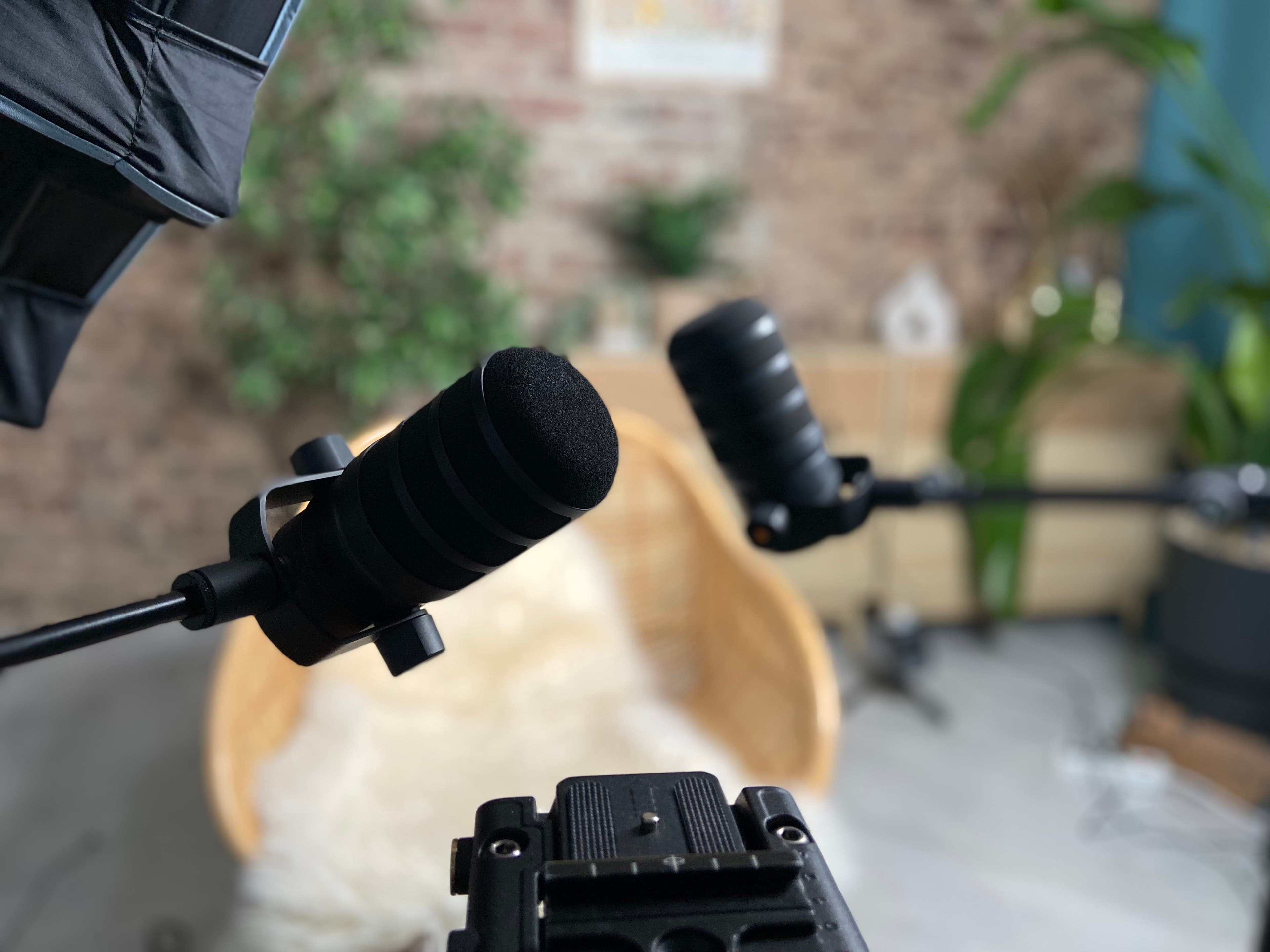 Mikrofon-Setup im intumind Studio