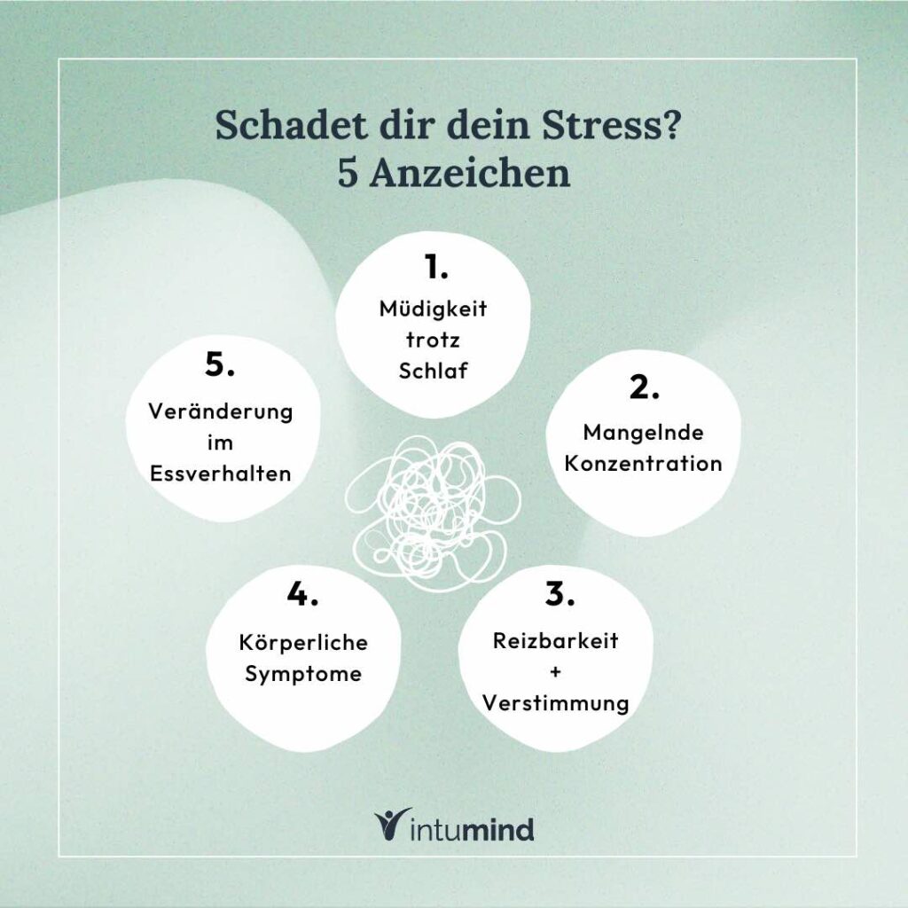 5 Anzeichen, dass dein Stress dir schadet. Müdigkeit, Konzentrationsprobleme, Reuizbarkeit, körperliche Symptome, gestörtes Essverhalten.